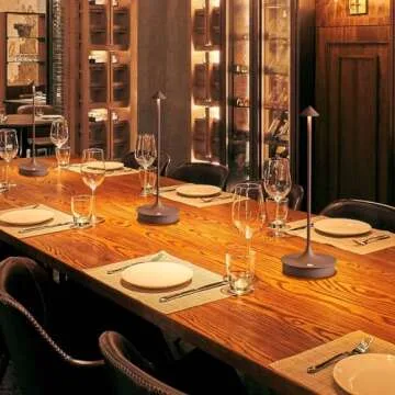 Cordless Rechargeable Table Lamp for Indoor Outdoor Use