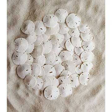 Tumbler Home Small Natural White Sand Dollars 50 pcs - Wedding - Sea Shell Craft 1 1/4" to 1 1/2" - Hand Picked and Professionally Packed