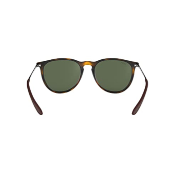 Ray-Ban RB4171 Erika Round Sunglasses for Fashion Forward Individuals
