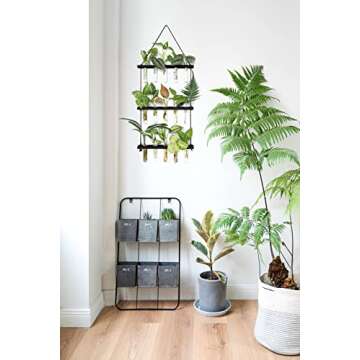 Mkono Plant Propagation Tubes, 3 Tiered Wall Hanging Plant Terrarium with Wooden Stand Mini Test Tube Flower Vase Glass Planter for Hydroponic Plant Cutting Home Garden Office Decor Plant Lover Gift