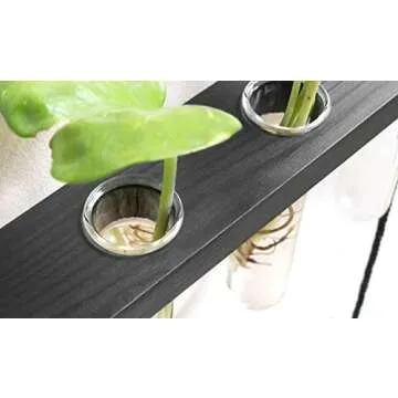 Mkono Plant Propagation Tubes, 3 Tiered Wall Hanging Plant Terrarium with Wooden Stand Mini Test Tube Flower Vase Glass Planter for Hydroponic Plant Cutting Home Garden Office Decor Plant Lover Gift