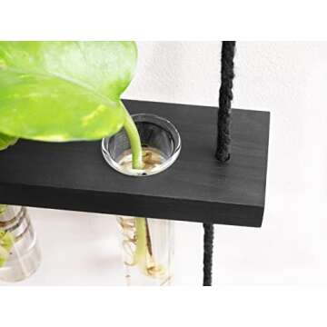 Mkono Plant Propagation Tubes, 3 Tiered Wall Hanging Plant Terrarium with Wooden Stand Mini Test Tube Flower Vase Glass Planter for Hydroponic Plant Cutting Home Garden Office Decor Plant Lover Gift