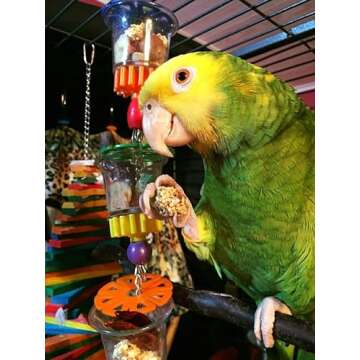 Engaging Super Bird Foraging Bottom’s Up Toy for Medium/Large Birds