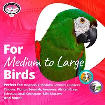 Super Bird Creations Bottom’s Up Foraging Toy for Birds