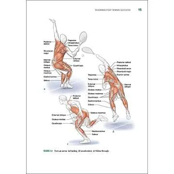 Tennis Anatomy: Unlock the Secrets of Optimal Performance