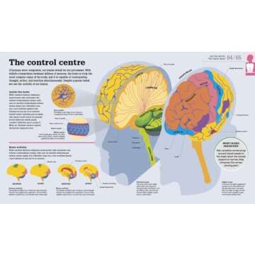 How the Body Works: The Facts Simply Explained (DK How Stuff Works)