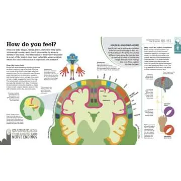 How the Body Works: The Facts Simply Explained (DK How Stuff Works)