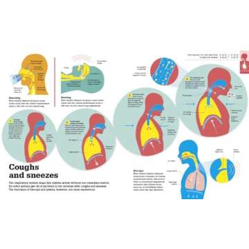 How the Body Works: The Facts Simply Explained (DK How Stuff Works)
