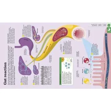 How the Body Works: The Facts Simply Explained (DK How Stuff Works)