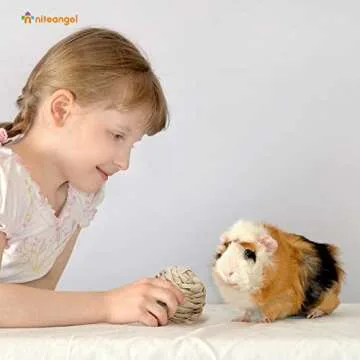 Niteangel Natural Chew Activity Toys Fun Safe Hay Grass Pet Balls for Chinchilla Guinea Pig Rats Rabbits Hamster Gerbil Degu Bunny and Other Small Animals