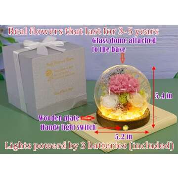 Valley of Rain & Forest Long-Lasting Real Flowers, Unique Floral Gift for You to Send Love for All O...