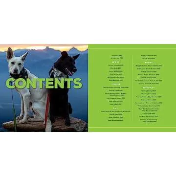 Amazing Stories of Camping with Your Dog