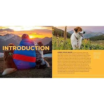 Amazing Stories of Camping with Your Dog