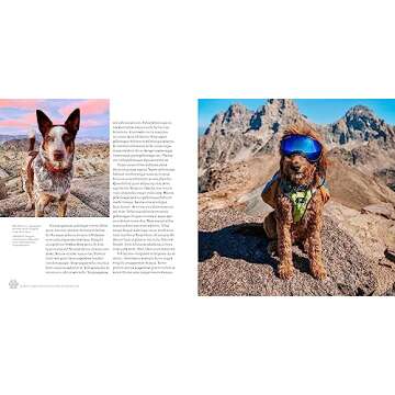 Amazing Stories of Camping with Your Dog