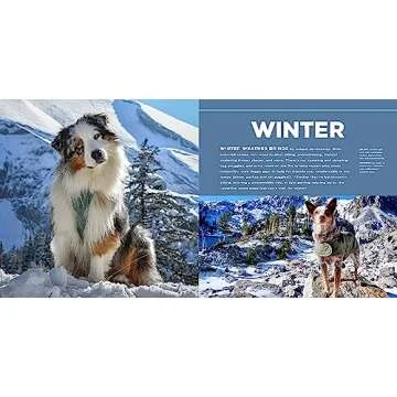 Amazing Stories of Camping with Your Dog