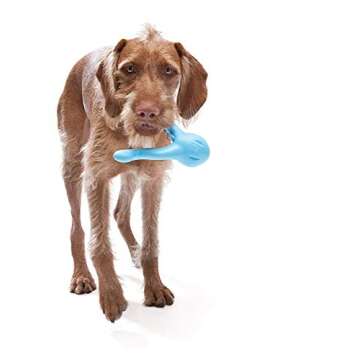 WEST PAW Zogoflex Tizzi Treat Dispensing Dog Toy (Small, Aqua) & Zogoflex Qwizl Dog Puzzle Treat Toy (Small, Tangerine) – Interactive Toy for Dogs – Dispense Pet Treats