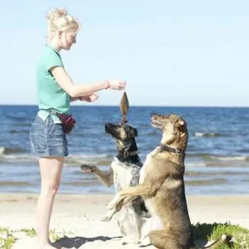 Durable Douthfolle Dove Dummy for Dog Training