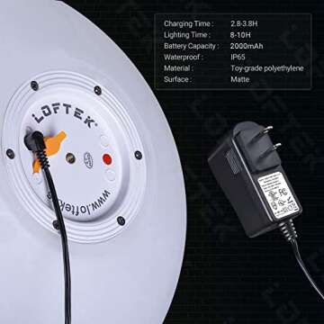 LOFTEK 12-inch LED Dimmable Light Ball: Waterproof Floating Pool Lights with Remote, 16 Colors Sphere Night Light, Cordless & Fast Chargeable, Sensory Toys for Kids, Home, Party, Pool Decor