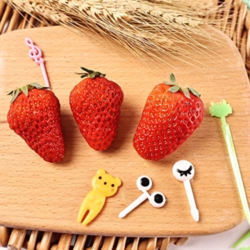 108 Pcs Animal Bento Food Picks for Kids Safe Durable Fun