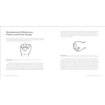 Ultimate Baby-Led Weaning Guide for Safe Eating