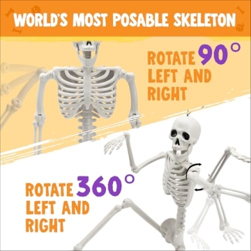 24" Halloween Posable Skeletons for Spooky Decor