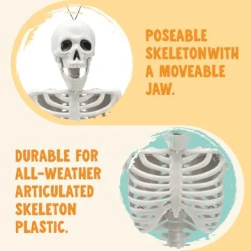 24" Halloween Posable Skeletons for Spooky Decor