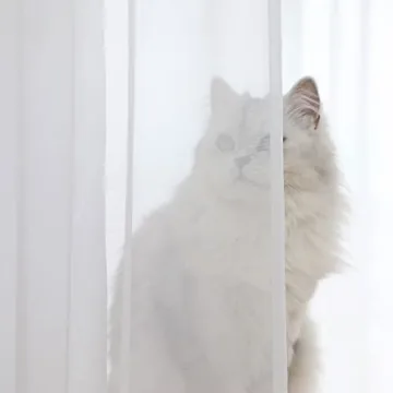 LONGTAI White Sheer Curtains - Elegant 108" Long Panels