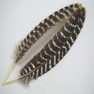 WAKEACE Turkish Feathers - 10 Natural Handcrafted Feathers