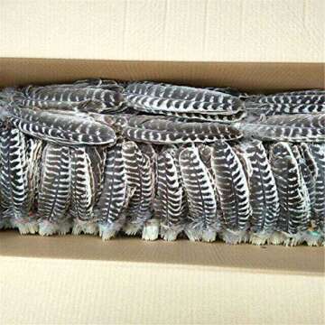 WAKEACE Turkey Feathers 10 Pieces/PCS Discount Wholesale Discount Wholesale DIY Decoration Collection Purification Energy Feathers