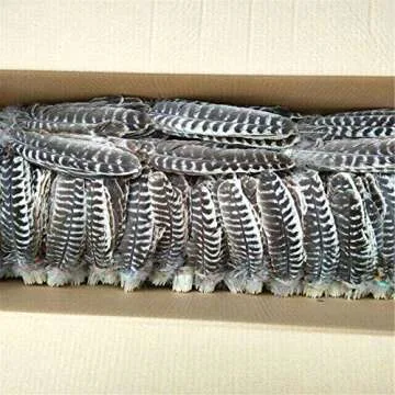 WAKEACE Turkish Feathers - 10 Natural Handcrafted Feathers