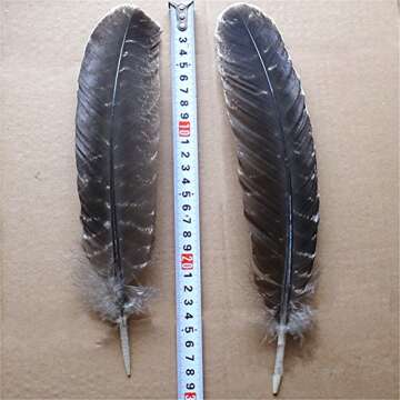 WAKEACE Turkey Feathers 10 Pieces/PCS Discount Wholesale Discount Wholesale DIY Decoration Collection Purification Energy Feathers