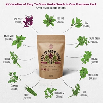 Culinary Herbs Seeds Variety Pack - Grow Fresh, Non-GMO Herbs