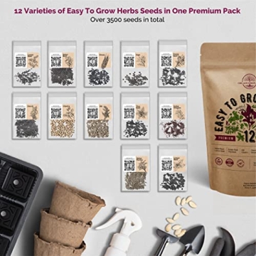 Culinary Herbs Seeds Variety Pack - Grow Fresh, Non-GMO Herbs