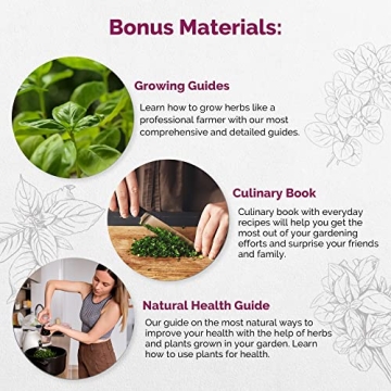 Culinary Herbs Seeds Variety Pack - Grow Fresh, Non-GMO Herbs