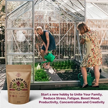 Culinary Herbs Seeds Variety Pack - Grow Fresh, Non-GMO Herbs