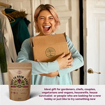 Culinary Herbs Seeds Variety Pack - Grow Fresh, Non-GMO Herbs