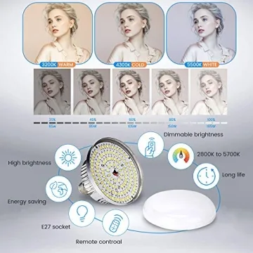 SH Softbox Lighting Kit with Remote Dimming Bulbs for Creators