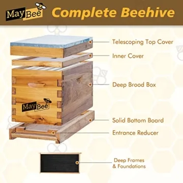 MayBee 5-Frame Nuc Beehive Kit for Beekeeping