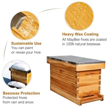MayBee 5-Frame Nuc Beehive Kit for Beekeeping