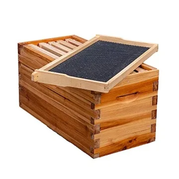 MayBee 5-Frame Nuc Beehive Kit for Beekeeping