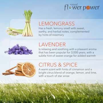 Natural Flower Power Air Freshener Spray Pack of 3 4 Fl Oz