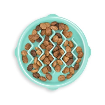 Outward Hound Fun Feeder Slo Bowl for Dogs - Mint Slow Pet Feeder