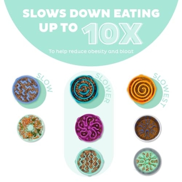 Outward Hound Fun Feeder Slo Bowl - Mint Color