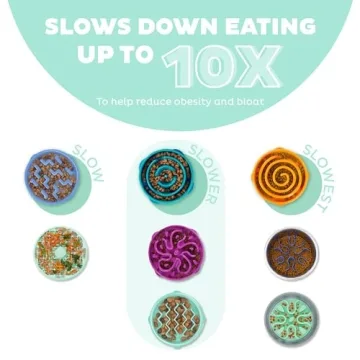 Outward Hound Fun Feeder Slo Bowl - Mint Color