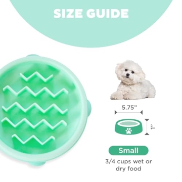 Outward Hound Fun Feeder Slo Bowl - Mint Color