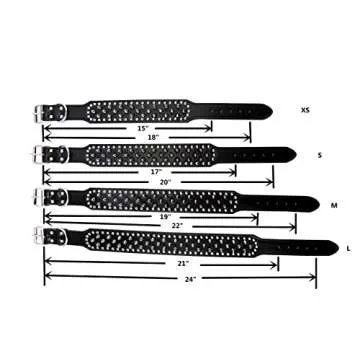 Hoot PU Leather Adjustable Spiked Studded Dog Collar 2" Wide 25 Spikes (XS(Neck 15"-18"), White)