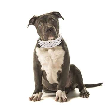 Hoot PU Leather Adjustable Spiked Studded Dog Collar 2" Wide 25 Spikes (XS(Neck 15"-18"), White)
