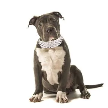 Hoot PU Leather Adjustable Spiked Studded Dog Collar 2" Wide 25 Spikes (XS(Neck 15"-18"), White)