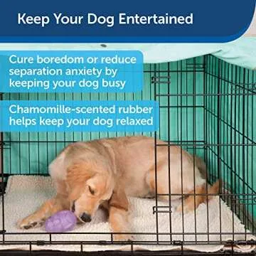 PetSafe Busy Buddy Calming Interactive Dog Toy and Treat Dispenser, PTY00-15761