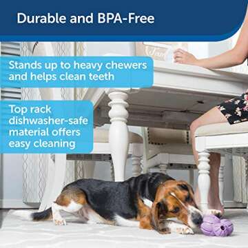 PetSafe Busy Buddy Calming Interactive Dog Toy and Treat Dispenser, PTY00-15761